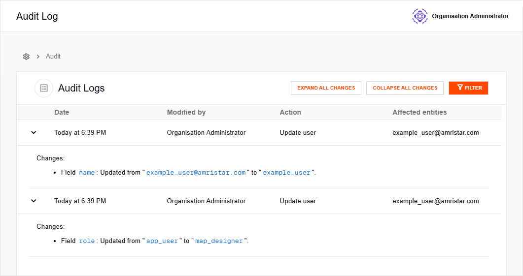 Audit log entries in expanded state
