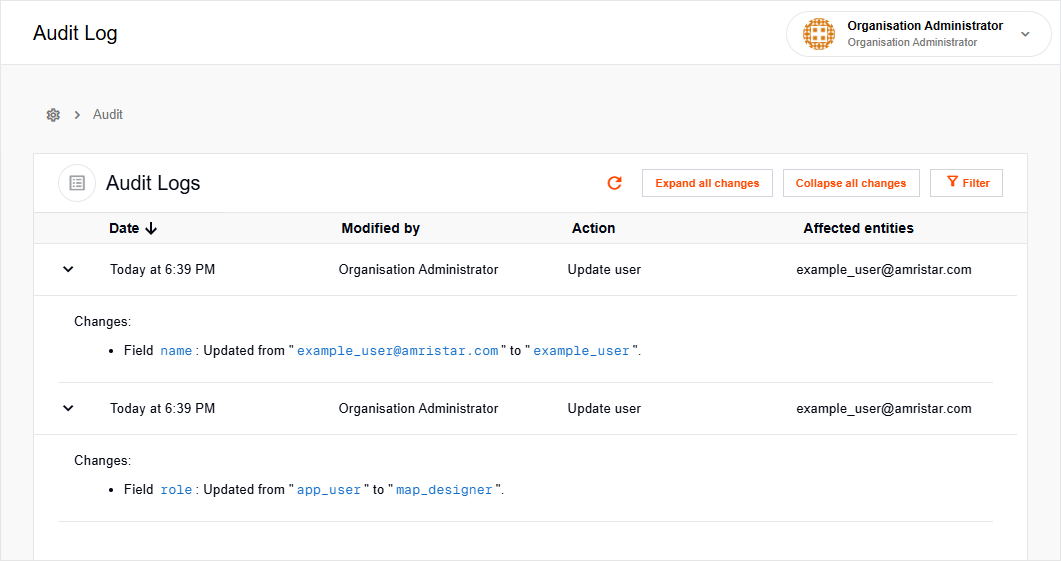 Audit log entries in expanded state